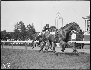 Last of Iolian, Miss L. Neyhart's runner who threw its rider and won the race later she ran and had to be destroyed