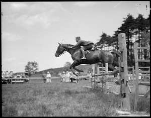 Fred Ayer jumping on fast asleep in Hamilton