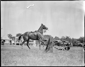 Rider down, jumping at Millwood Hunt, Framingham