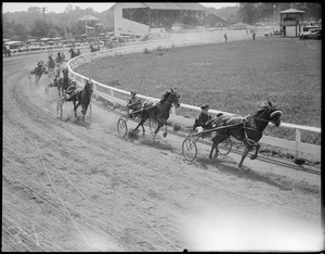 Trotters, 2.17 pace, second lap, first, no. 10 Peter Taggert, second no. 5 Grandma, third no. 6 Sister Napoleon, South Weymouth