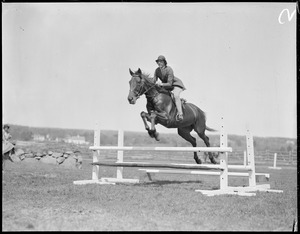 Jumping at horse show