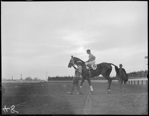 Horse and Jockey led by trainer at Narragansett