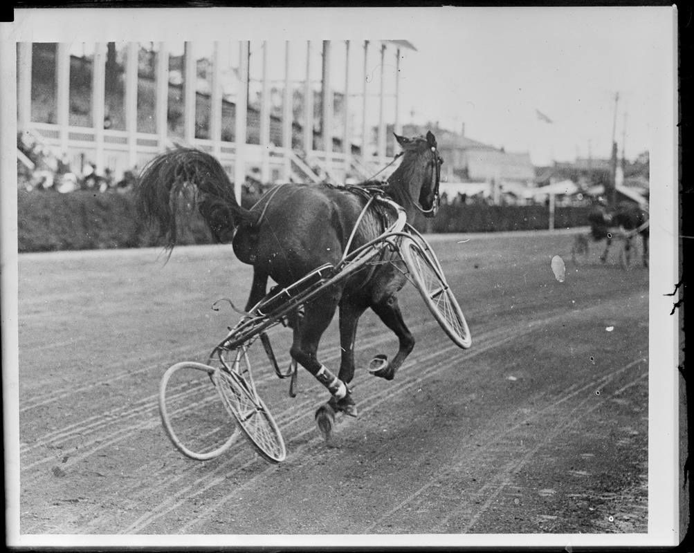 Horse runs away and throws rider; Brockton Fair