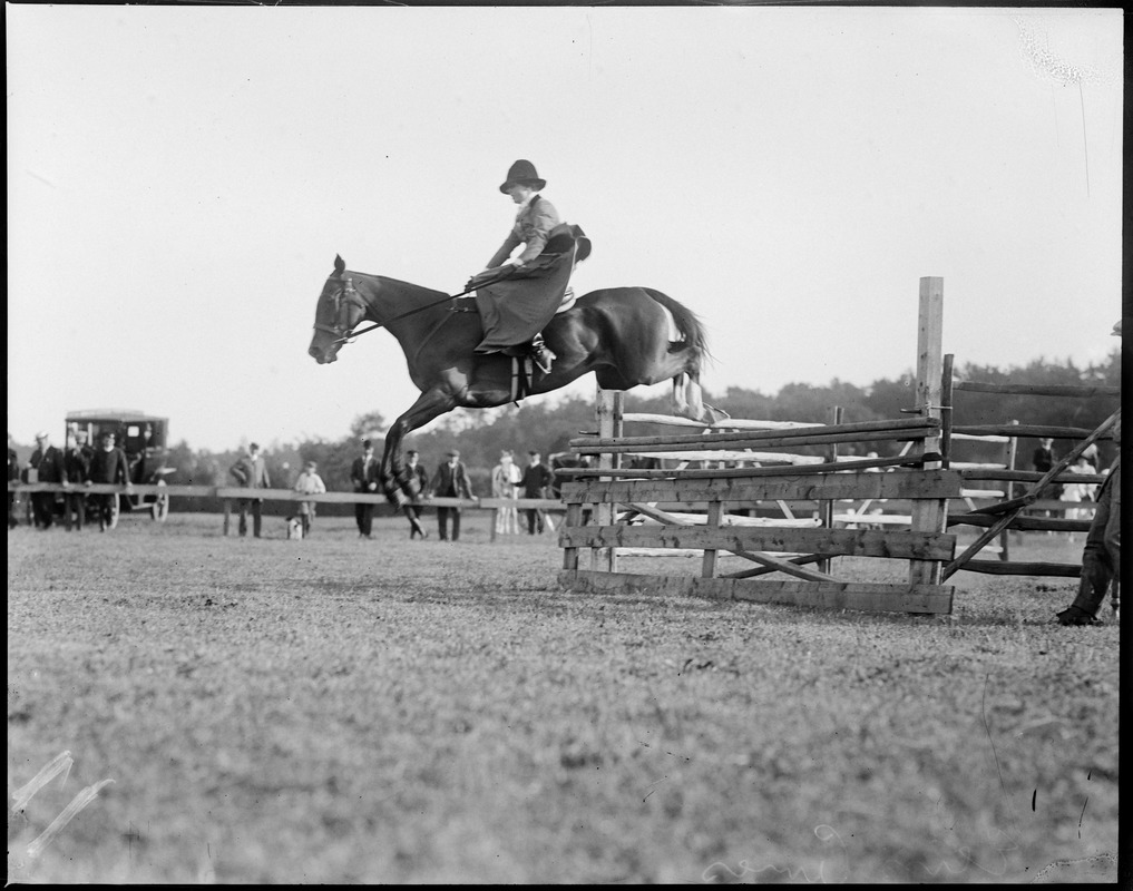 Horse jumping