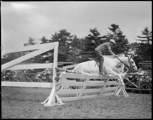 Horse refuses to jump fence, tries to straddle, at Mansfield Fair