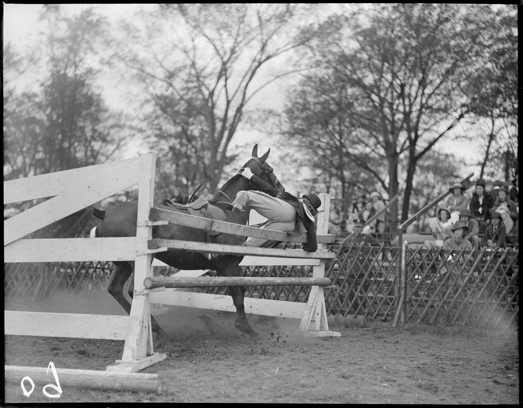 Horse jumping accident at Newton Horse Show Digital Commonwealth