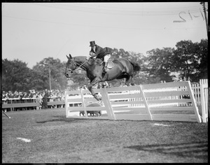 Horse and rider jump sheep pen