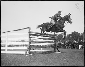 Horse and rider jump fence