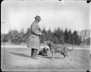 John R. Macomber with his dogs Tips and Boatswain at Raceland in Framingham