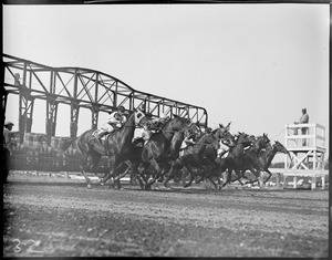 Rockingham Races at the start, Salem, N.H.