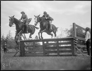 Two horses jump over same jump