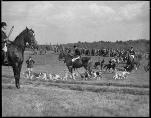 Dogs and riders gather on Bradeley Palmer's estate for Myopia Hunt
