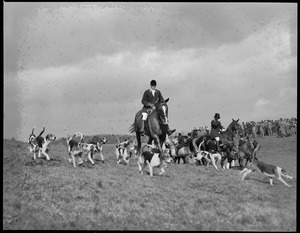 Riding with the hounds during Myopia Hunt on Bradley Palmer's estate