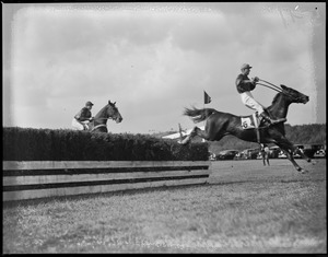 Jumping a hedgerow during the Myopia Hunt on Bradley Palmer's estate