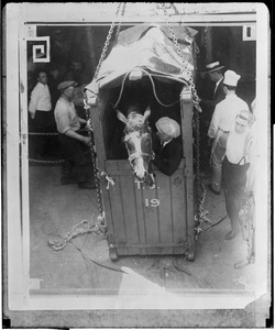 Epinard, famous French race horse, arriving in New York on the SS Berengaria