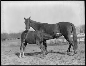 Social Climber with his mother