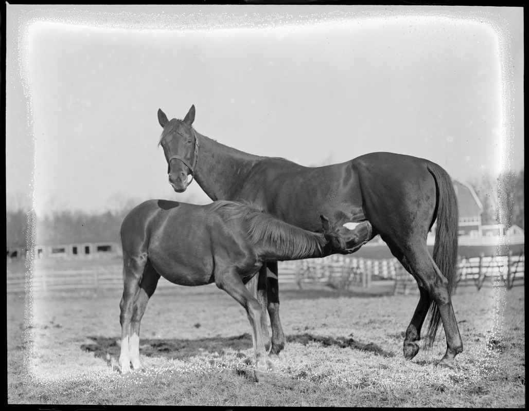 Social Climber with his mother