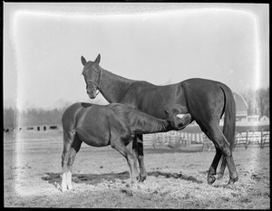 Social Climber with his mother