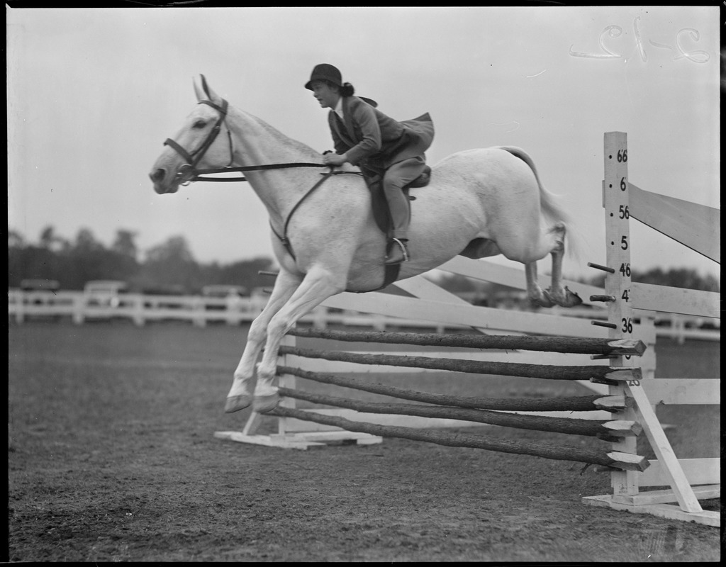 Helen McCarthy on Checkers jumps during Met Horse show, winning blue ribbon