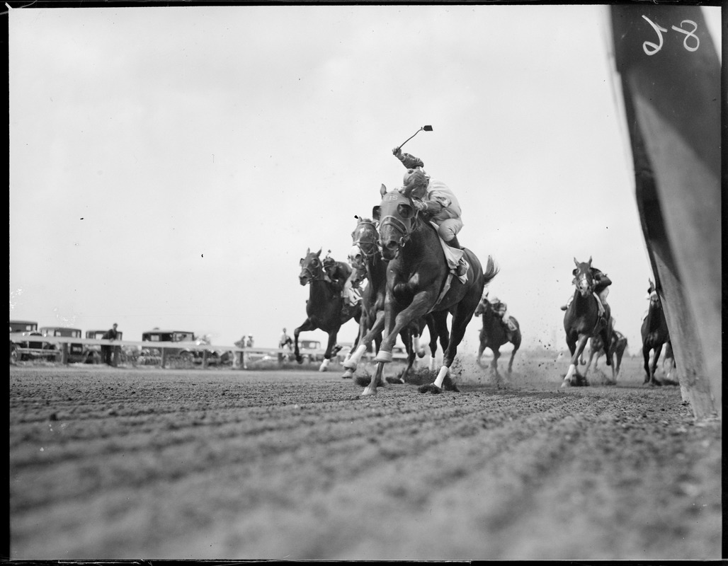 Low angle shot of horses coming out of the turn