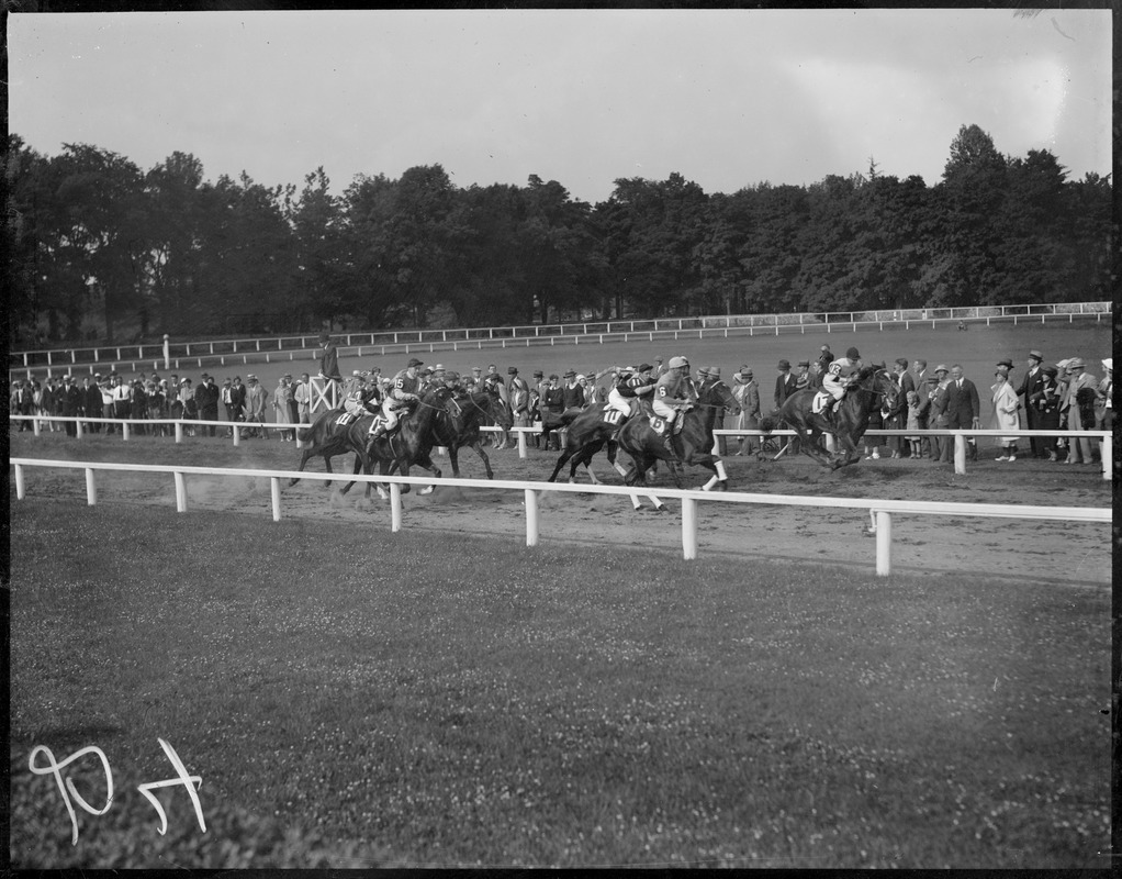 Horse race at Raceland in Framingham
