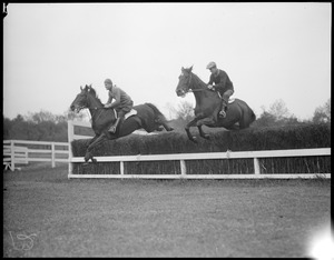 Two horses jump hedge on course