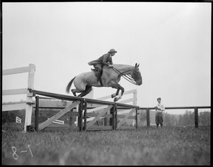 Horse jumping