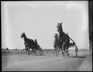 Trotters at Rockingham