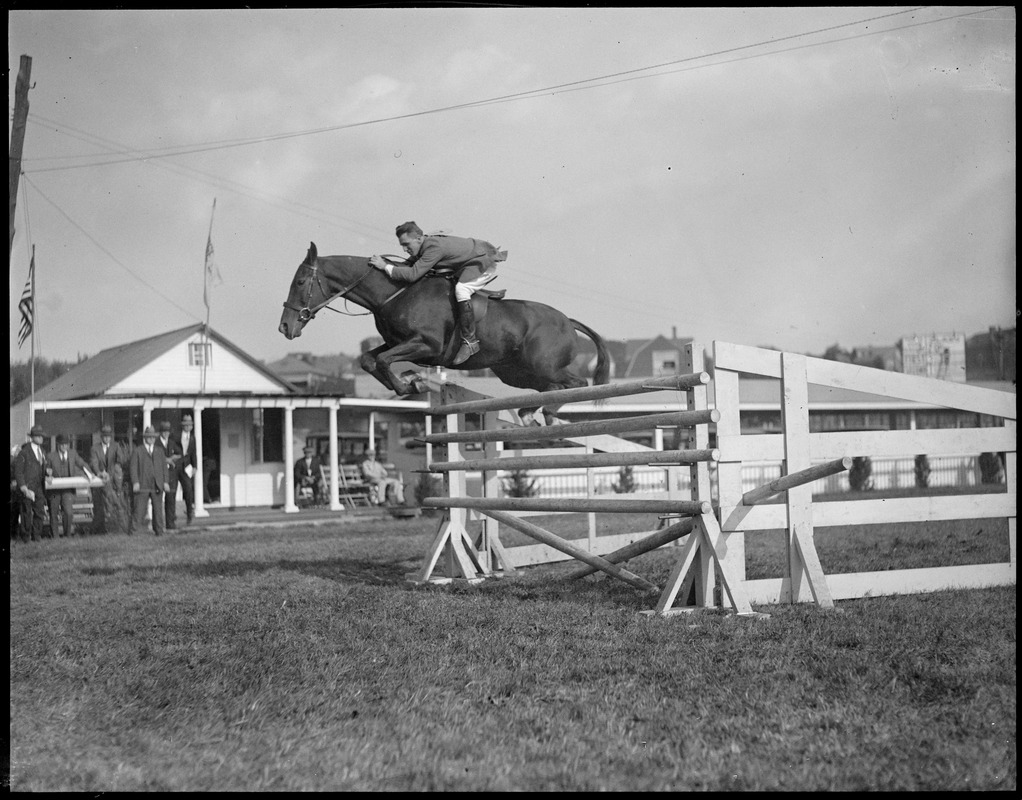 Horse jumping on course