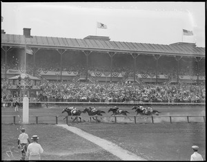 Horses race by grandstand at Rockingham
