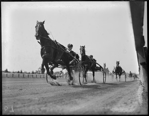Trotters at Rockingham