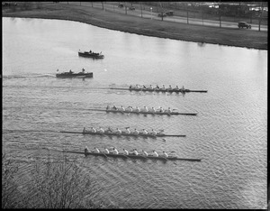 Harvard crews on the Charles River