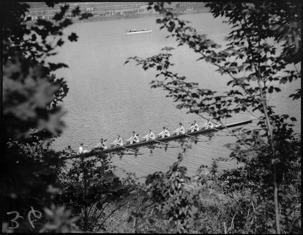 Crew on the Charles glimpsed through the trees