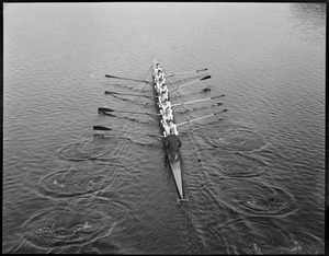 Harvard crew on Charles River