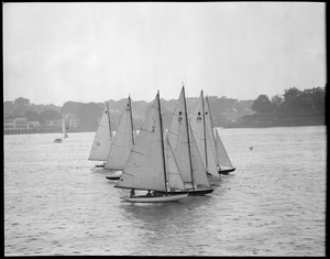Sailboats