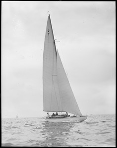 Q-7 Ray Hunts Falcon - Marblehead