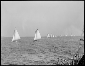 Race in Dorchester Bay