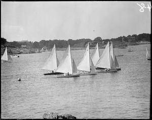 Sailboats