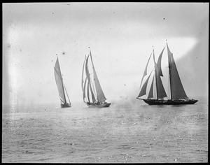 Sailboats