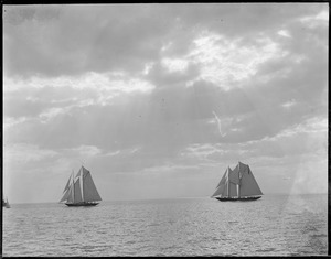 Sailboats