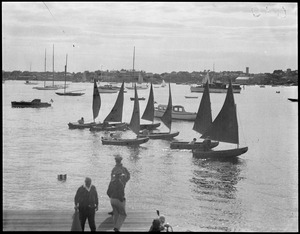 Sailboats