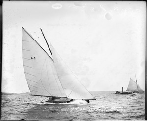 Yacht race
