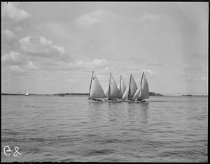 Quincy cat boats off Hough's neck