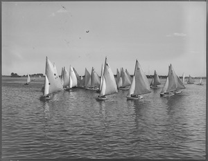 Yachts in group