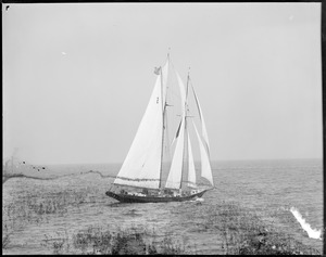 Sailing Fishermen's