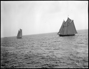 No 2. Gertrude L. Thebaud and no. 1 Bluenose, Gloucester