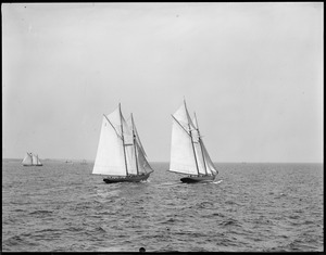 Fishing schooner Bluenose no. 1, and Henry Ford no. 2 race off Gloucester