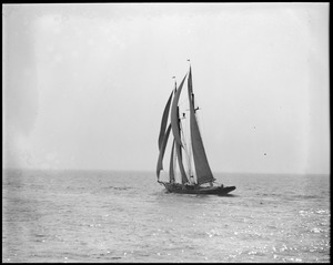 Sailboat Gertrude L. Thebaud, Gloucester