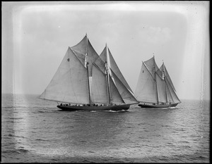Fishing schooners Gertrude L. Thebaud and Elsie racing off Gloucester.