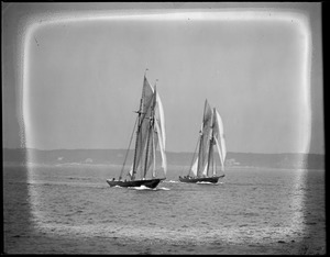 Fishing schooners Gertrude L. Thebaud and Elsie racing off Gloucester.